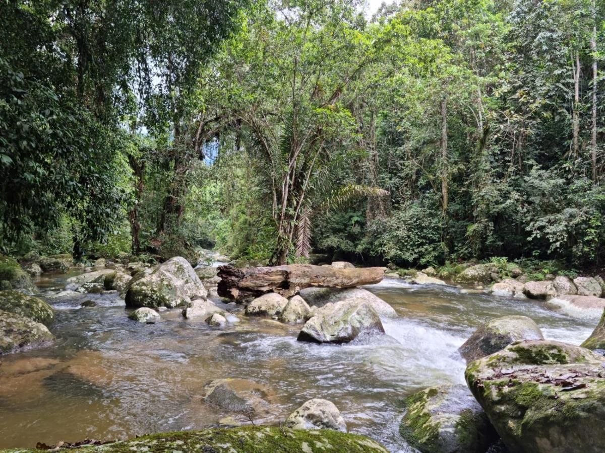 Aproveite a natureza casa com cachoeira Araquari Exterior foto