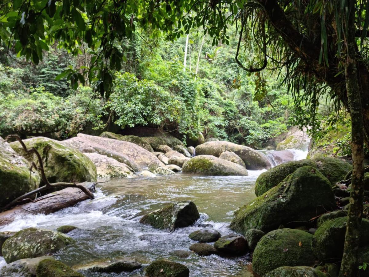 Aproveite a natureza casa com cachoeira Araquari Exterior foto