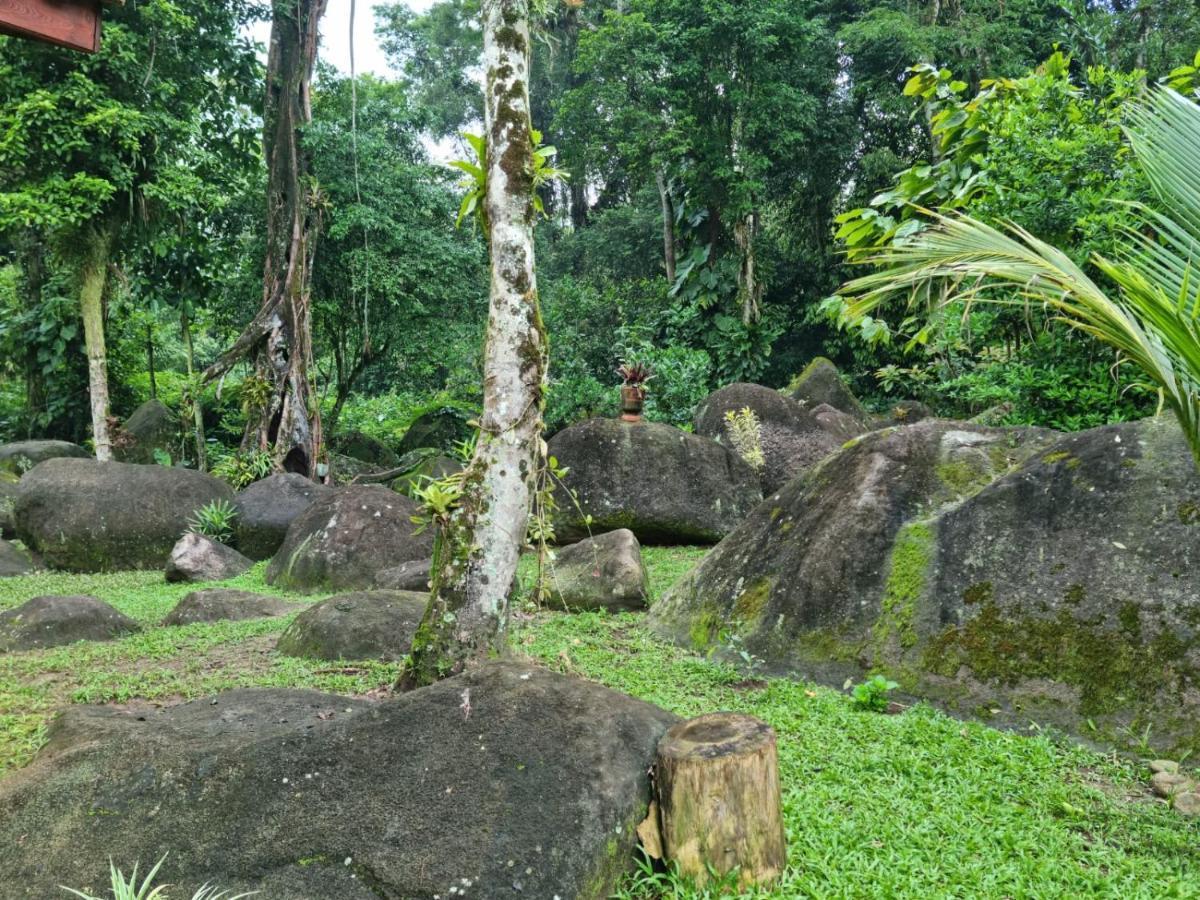 Aproveite a natureza casa com cachoeira Araquari Exterior foto
