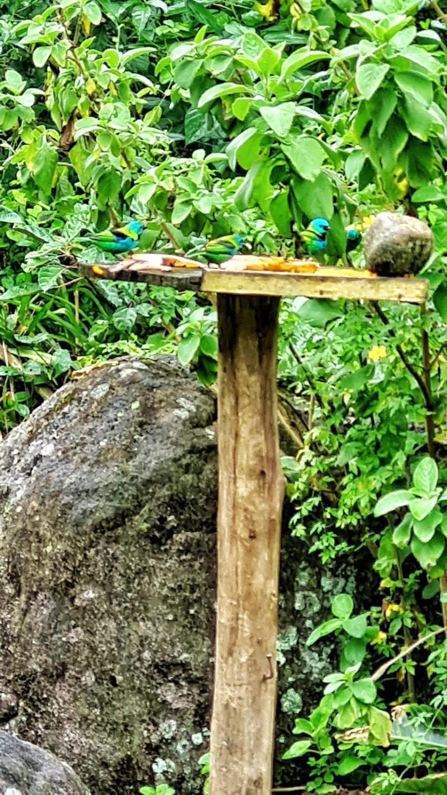 Aproveite a natureza casa com cachoeira Araquari Exterior foto