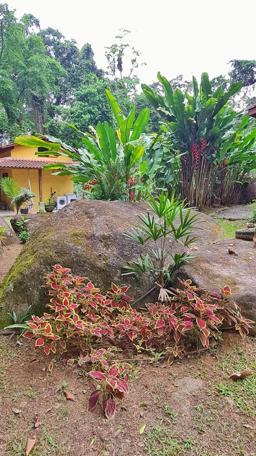 Aproveite a natureza casa com cachoeira Araquari Exterior foto
