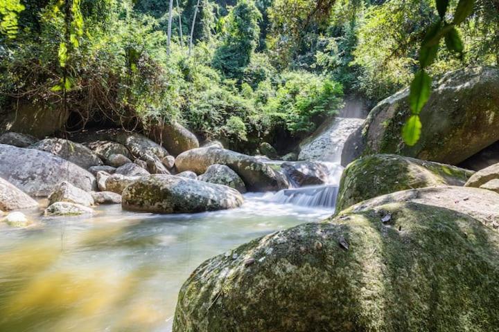 Aproveite a natureza casa com cachoeira Araquari Exterior foto