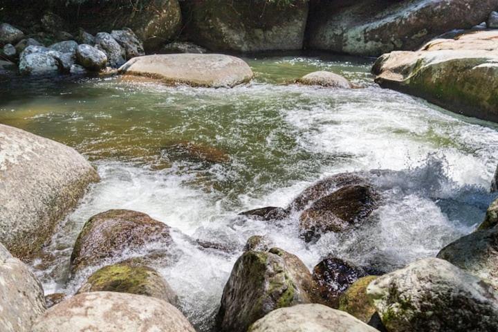 Aproveite a natureza casa com cachoeira Araquari Exterior foto