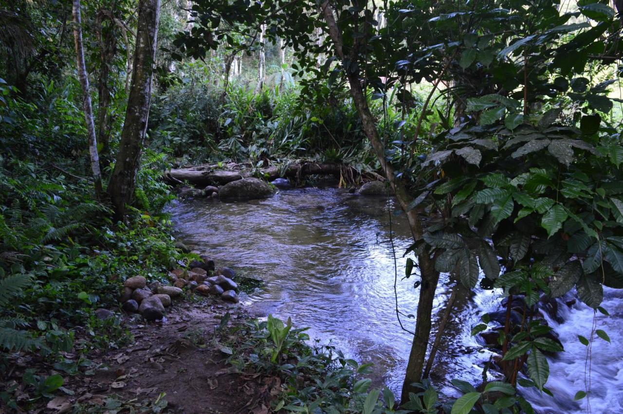 Aproveite a natureza casa com cachoeira Araquari Exterior foto